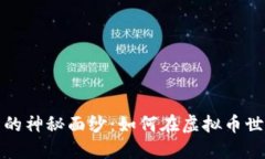 揭开矿币和能源币的神秘