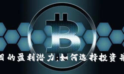 探寻虚拟币项目的盈利潜力：如何选择投资并获得丰厚回报