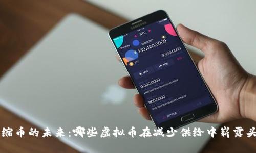 通缩币的未来：哪些虚拟币在减少供给中崭露头角