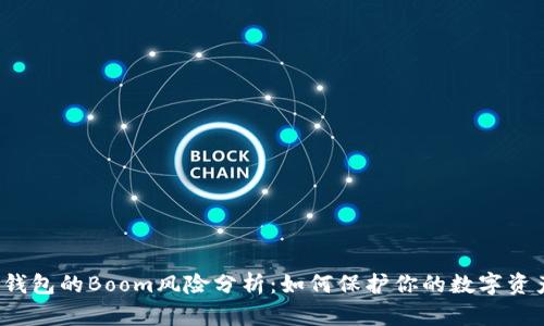 TP钱包的Boom风险分析：如何保护你的数字资产？