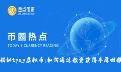 揭秘tpay虚拟币：如何通过