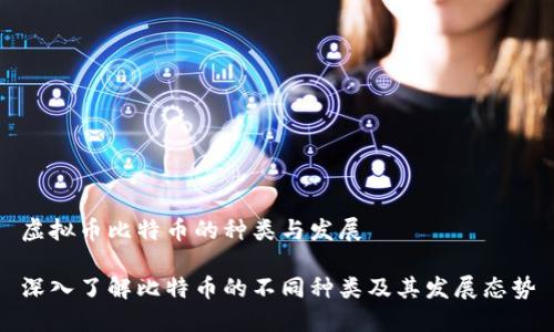 虚拟币比特币的种类与发展

深入了解比特币的不同种类及其发展态势