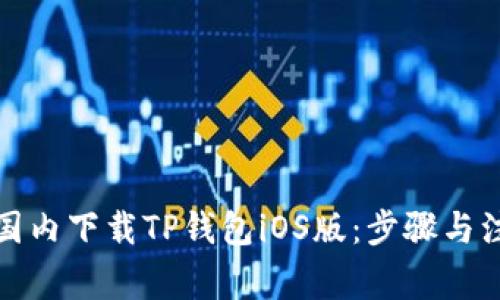 如何在国内下载TP钱包iOS版：步骤与注意事项