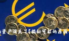 TP钱包中的资产消失了？揭秘可能的原因及解决方
