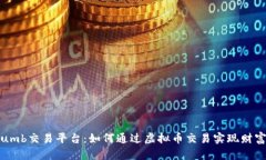 Bithumb交易平台：如何通过虚拟币交易实现财富增